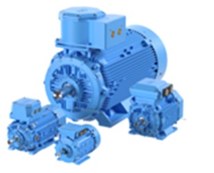 Hazardous Area Motors